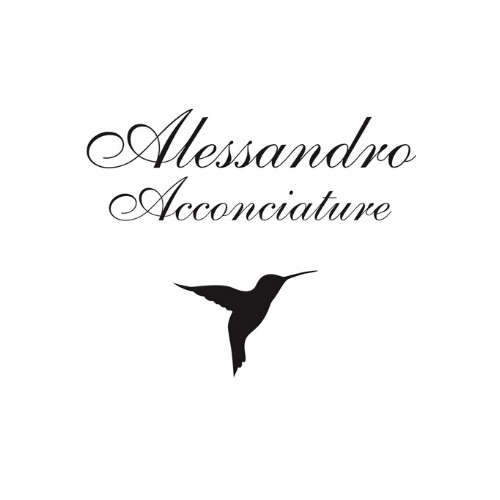 ALESSANDRO ACCONCIATURE logo