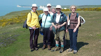 The Seven(?) Sisters again