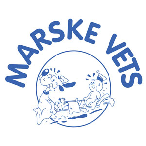Marske Veterinary Practice - Marske-by-the-Sea logo