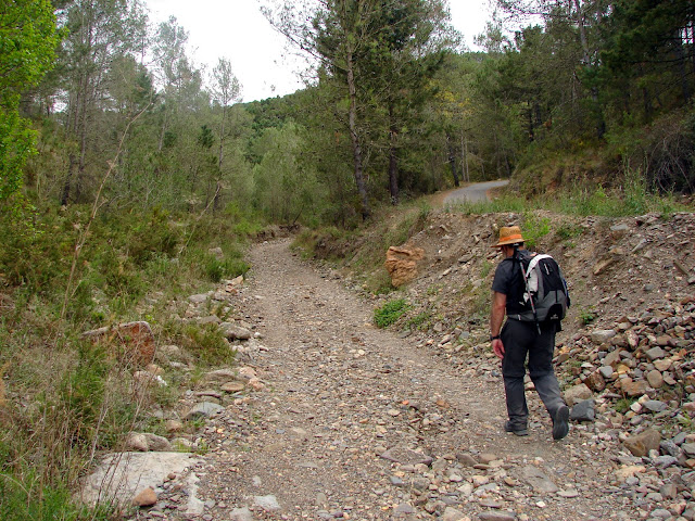 Senderismo - GR-36 Montanejos - Alcudia de Veo