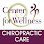 Center for Wellness Chiropractic Care - Chiropractor in Mundelein Illinois