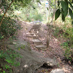 Steps near Epping Rd (80206)