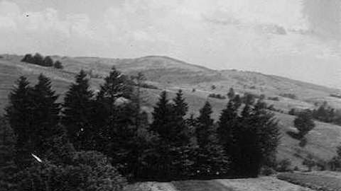 Cover photo