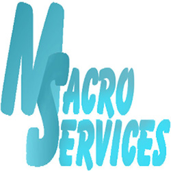 Macroservices S.R.L. logo