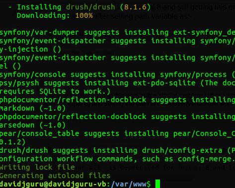 Betabeers davidjguru drupal installing drush via composer.JPG