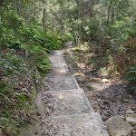 Steps west of Fairyland (67458)
