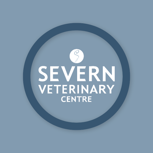 Severn Veterinary Centre, Tybridge House