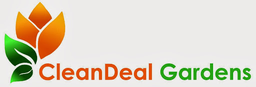 Clean Deal Gardens LLC, Dubai - United Arab Emirates, Landscaper, state Dubai