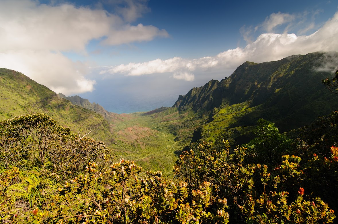 Kauai: Poipu - Hawaii: 3 islas en dos semanas (22)