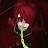 Chloe Olsen avatar image