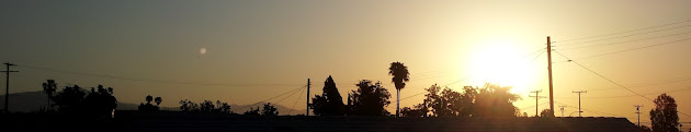 Cover photo