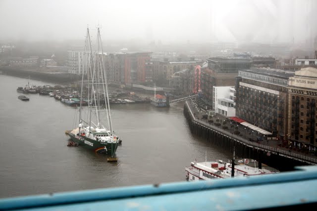 Greenpeace ship below Tower Bridge in London