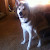 Google+ profile image