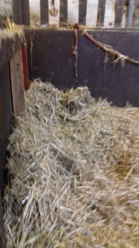 Warren Farm