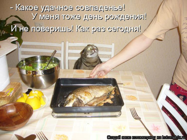 Довести до греха не обещаю, но провожу Довести до греха не обещаю, но провожу