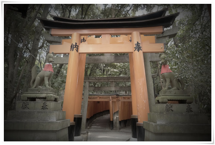 Kyoto (IV): toriis, dragones y geishas - Japón es mucho más que Tokyo (6)