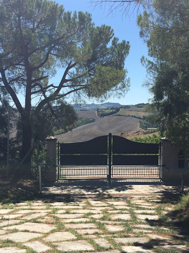 Immagine principale di Azienda Agricola Fiorentini Vini