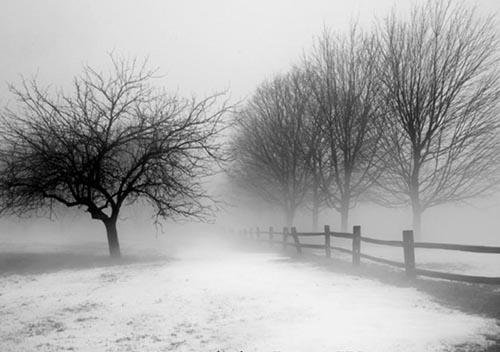 Best of Show: "Snow and Fog" by Gary Morrison