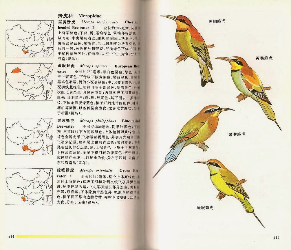 China Guides Amp Atlases Avian Review