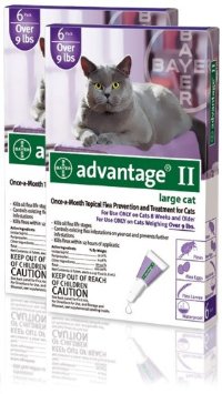  12 MONTH Advantage II Flea Control Large Cat (for cats over 9 lbs) PURPLE