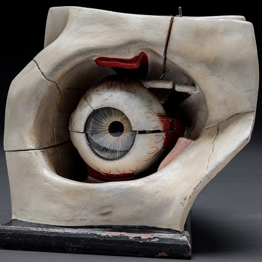 Augentechnik - Augenärztliche Sammlung (Museum der Universität Tübingen MUT)