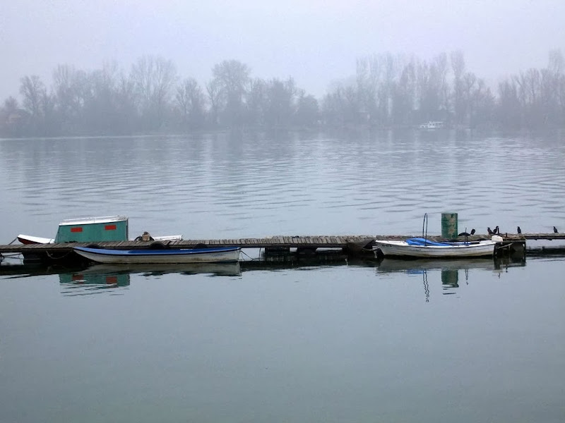 camci%252001.jpg