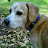 Shannon Thomas-Smith avatar image