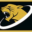 Jaguar Fitness logo