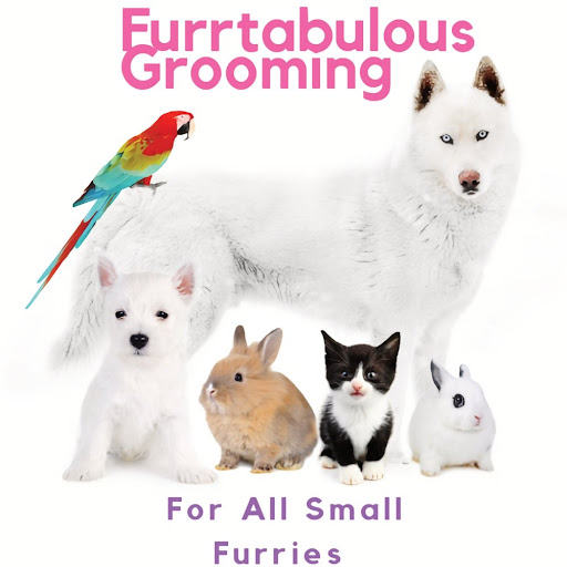 Furrtabulous Grooming & Equine Supplies logo