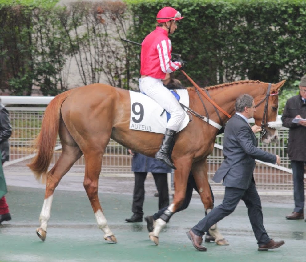 Photos Auteuil 26-04-2015 - Page 2 IMG_9094