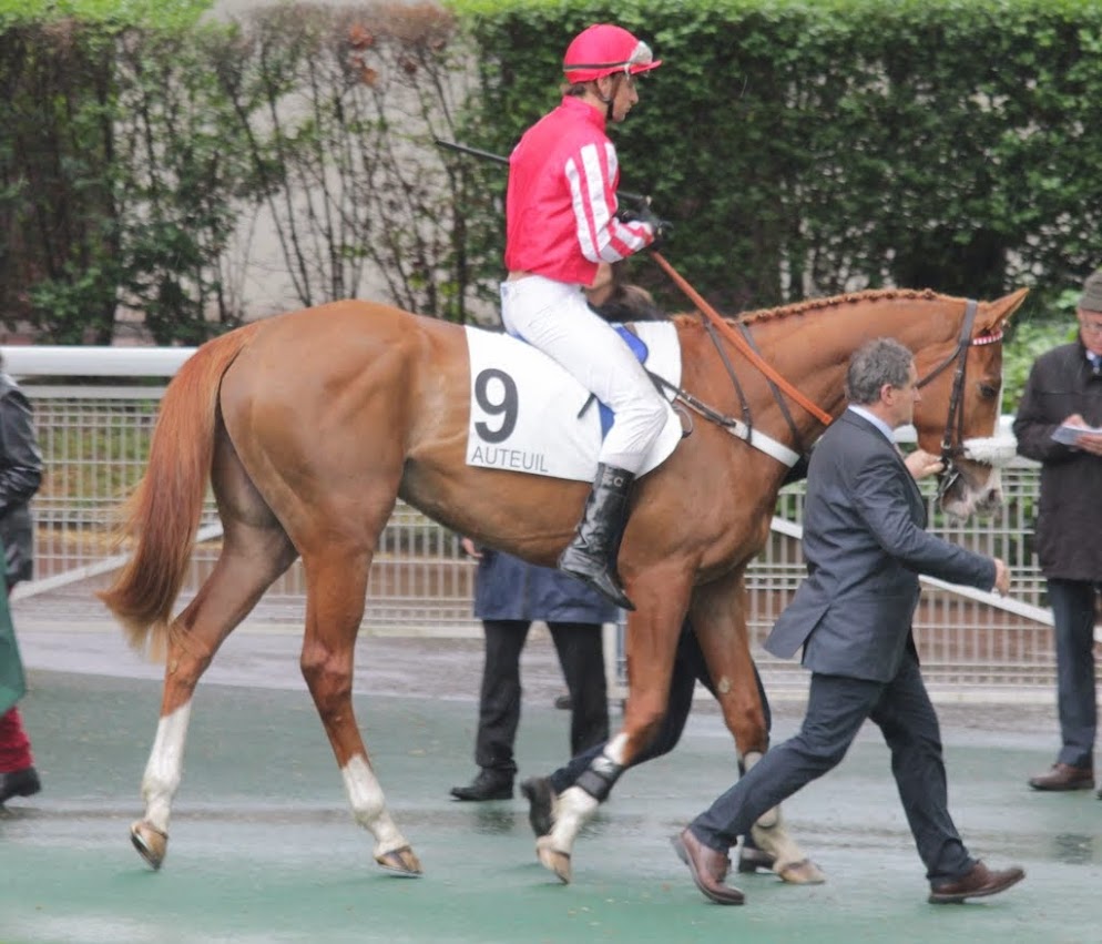 Photos Auteuil  26-04-2015 - Page 2 IMG_9094