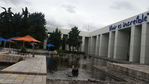 Grupo Nacional Provincial