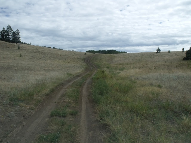 DSCF4943.JPG