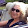 Loraine Despres Loraine Despres's profile photo