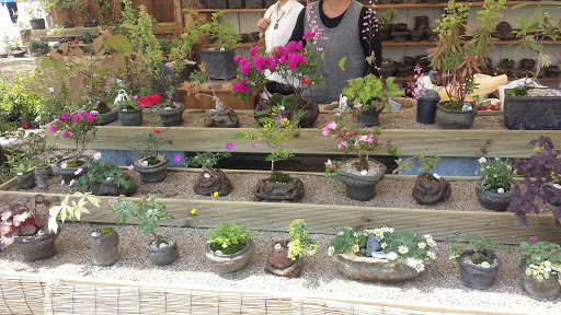 Icheon Ceramics Village