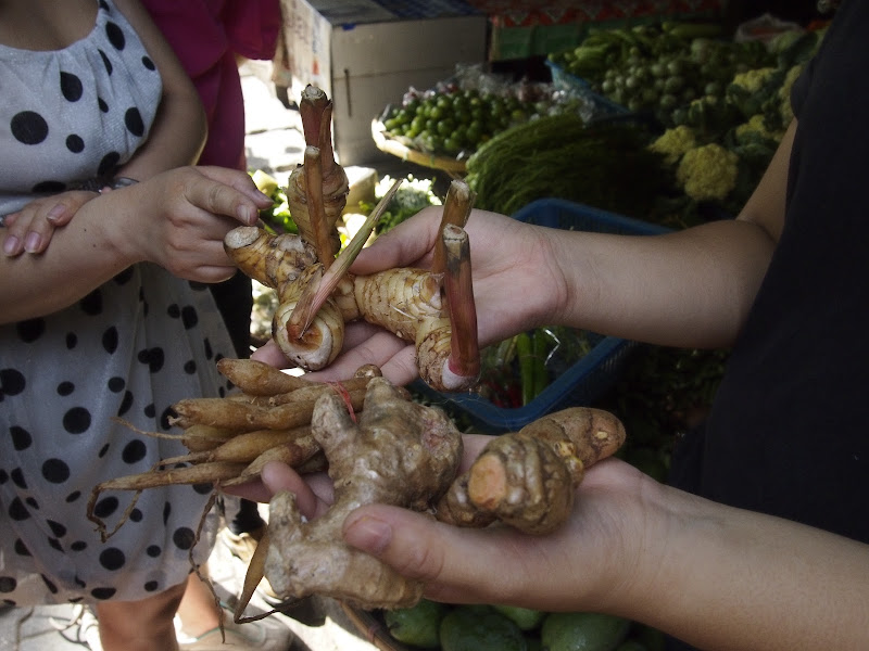 Chiang Mai - Curso de cocina / Visita de la ciudad / Night Bazaar - Por Tierras de Siam (1)