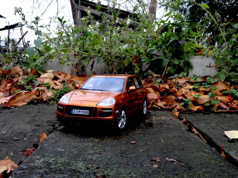 DSC09733.JPG