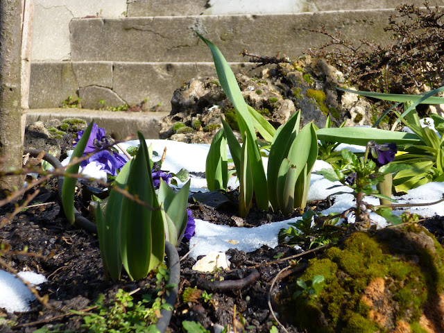 Что делать, если весна не хочет приходить вовремя? Правильно - назначить ее самим!