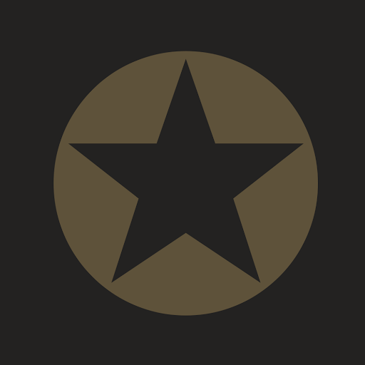 Nail Star logo