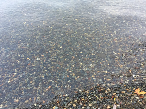 Seward Park