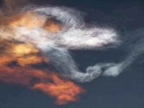 Dragons In The Sky