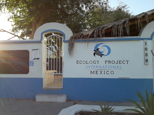 Ecology Project International (EPI), Guillermo Prieto 1038, Zona Central, 23000 La Paz, B.C.S., México, Organización no gubernamental | BCS