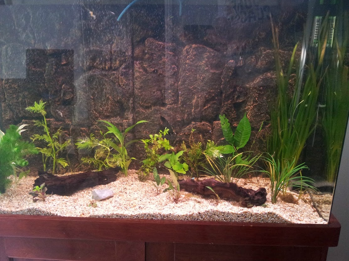 2012-06-09+12.45.07.jpg