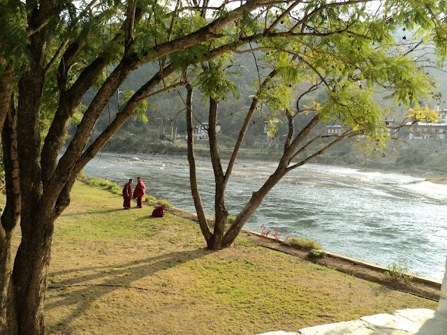 Ký sự chuyến hành hương Bhutan đầu xuân._Bodhgaya monk (Văn Thu gởi) DSC06781