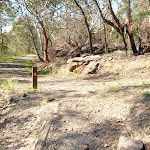 Intersection of the GNW track and trail south of Cowan (356660)