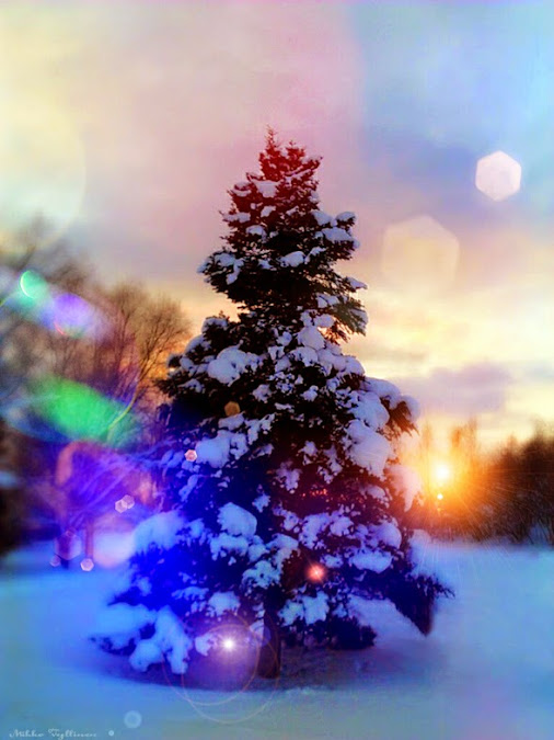 posted image