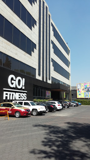 Go Fitness Polanco!, Calzada General Mariano Escobedo 151, Anáhuac, 11320 Miguel Hidalgo, CDMX, México, Gimnasio | Cuauhtémoc
