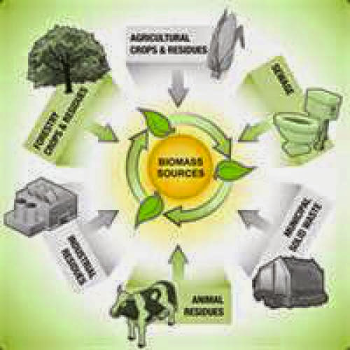 Sources Of Biomass Energy