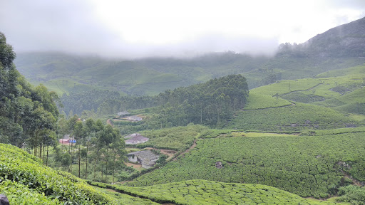 Photo Point, Munnar, Munnar - Top Station Hwy, Ikka Nagar, Munnar, Kerala 685612, India, Tourist_Attraction, state KL