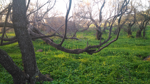 Area Sosta Camper di S'Abba Druche